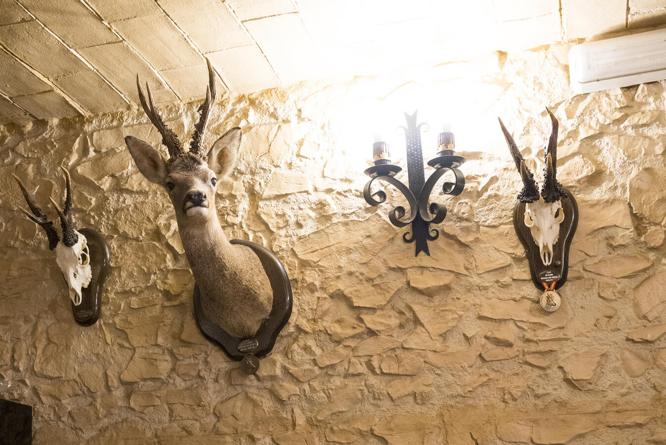 Pared con trofeos de caza